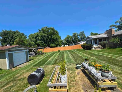 Lawn Care service in Charlotte, 48813