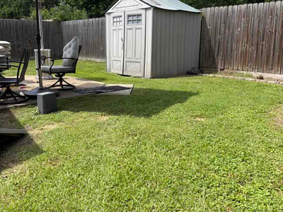 Lawn Care service in McAllen, 78504