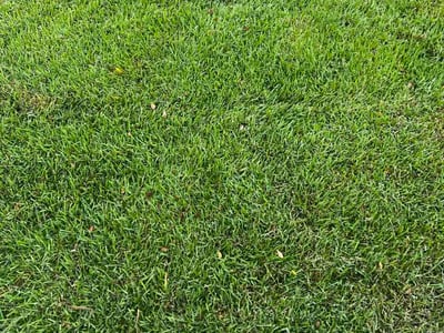 Lawn Care service in Marco Island, 34145
