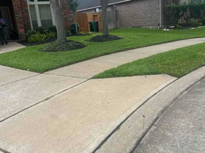 Lawn Care service in Sugar Land, 77479
