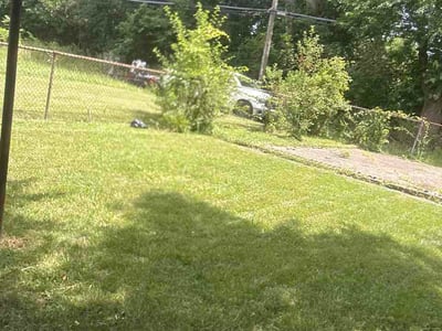 Lawn Care service in Northville, 48167