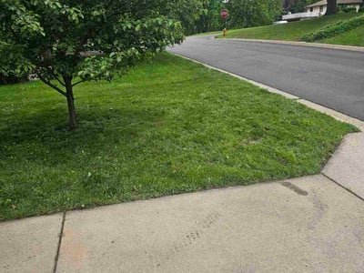 Lawn Care service in Hastings, 55033