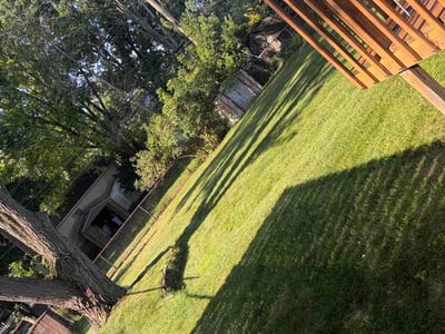 Lawn Care service in White Lake, 48386
