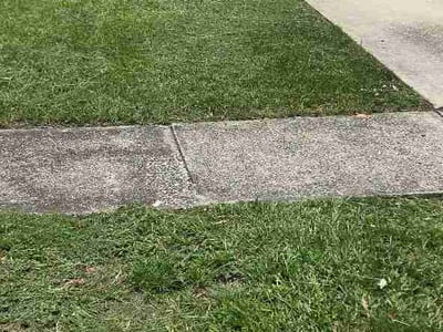 Lawn Care service in Casselberry, 32707