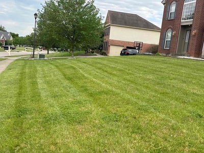 Lawn Care service in Dumfries, 22026