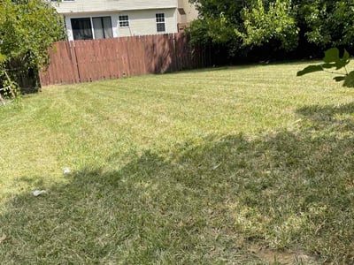 Lawn Care service in Dumfries, 22026