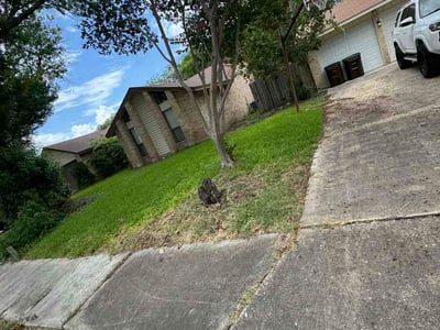Lawn Care service in La Vernia, 78121