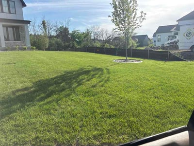 Lawn Care service in Cottage Grove, 55016