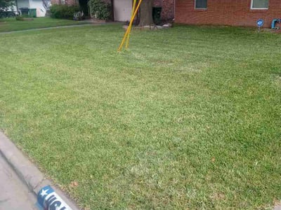 Lawn Care service in Cheshire, 06410