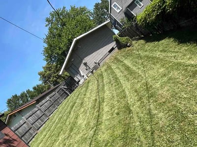 Lawn Care service in Holland, 43528