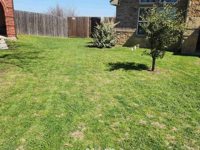 Lawn Care service in Forest Hill, 76140