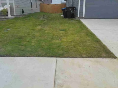 Lawn Care service in Forest Hill, 76140