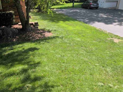 Lawn Care service in West Bloomfield, 48323