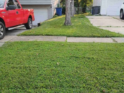Lawn Care service in Wauseon, 43567