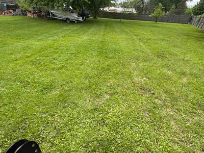 Lawn Care service in West Bloomfield, 48323