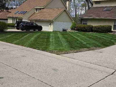 Lawn Care service in Lapeer, 48446