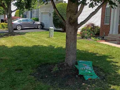 Lawn Care service in Culpeper, 22701