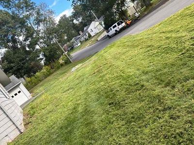 Lawn Care service in Waterbury, 06710