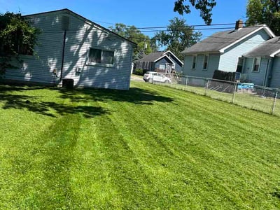 Lawn Care service in Ferndale, 48220