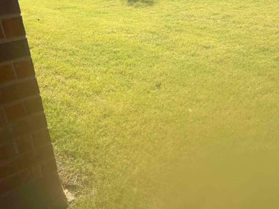 Lawn Care service in Waterbury, 06710