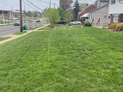Lawn Care service in Potomac, 20036