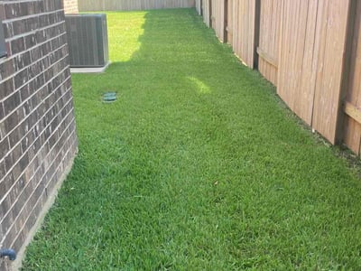 Lawn Care service in Montgomery, 77316
