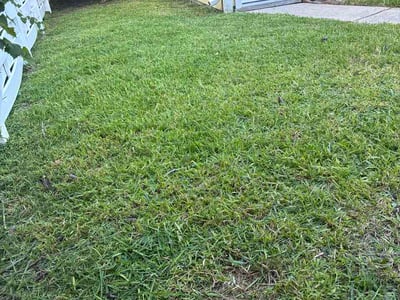 Lawn Care service in Lake Jackson, 77566