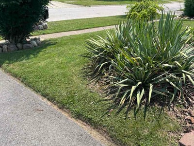 Lawn Care service in Orient, 43146