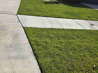 Lawn Care service in Green Cove Springs, 32043