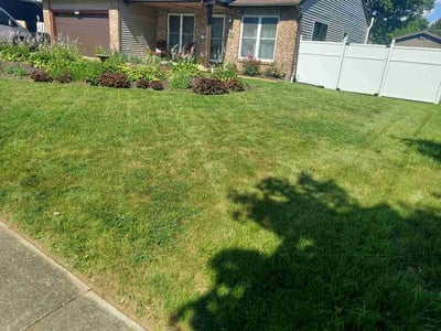 Lawn Care service in New Lexington, 43764