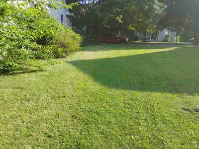 Lawn Care service in Milford, 01757