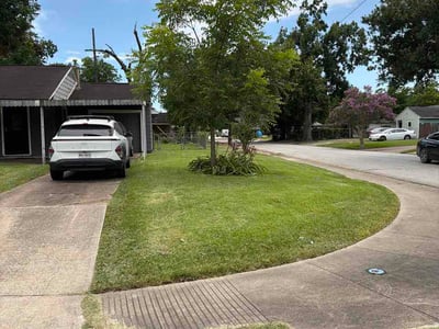 Lawn Care service in Bellaire, 77401