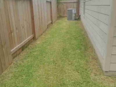 Lawn Care service in Porter, 77365