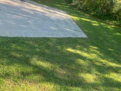 Lawn Care service in Newington, 06111