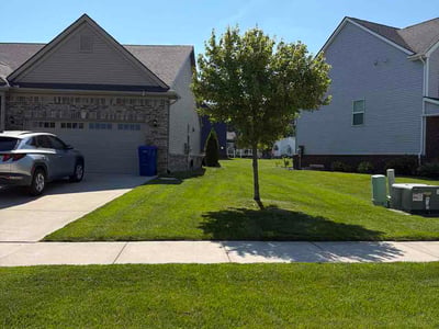 Lawn Care service in South Lyon, 48178