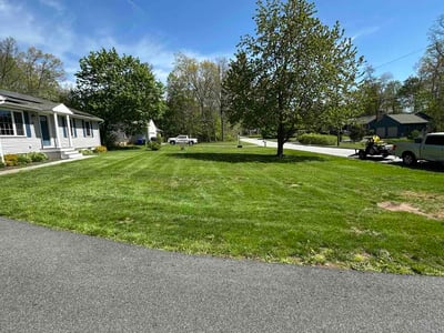 Lawn Care service in Glastonbury, 06033