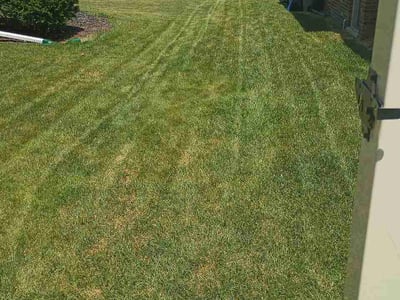 Lawn Care service in Redford Charter Township, 48239