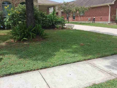 Lawn Care service in Pearland, 77581