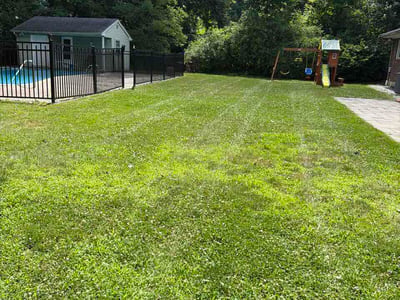 Lawn Care service in Bristol, 06010