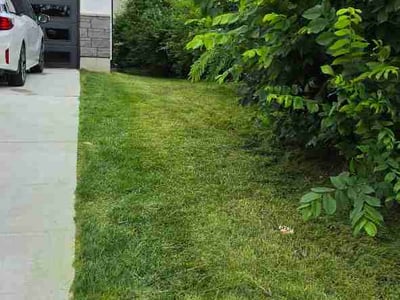 Lawn Care service in Roy, 84067