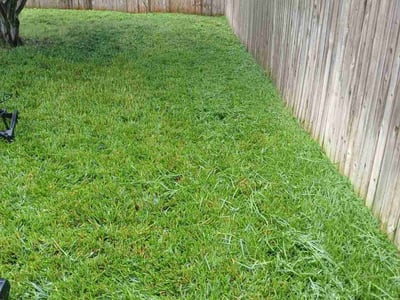Lawn Care service in Stone Oak, 78258