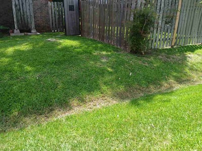 Lawn Care service in Seabrook, 77586