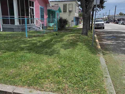 Lawn Care service in Galveston, 77550