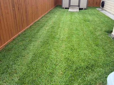 Lawn Care service in Atascocita, 77346