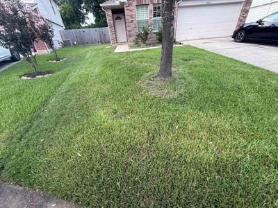 Lawn Care service in Willis, 77378