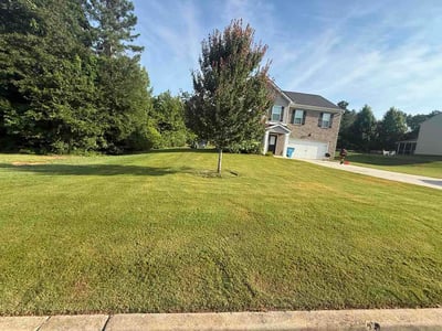 Lawn Care service in Wolcott, 06716