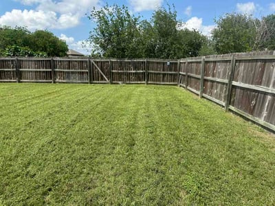 Lawn Care service in New Braunfels, 78130