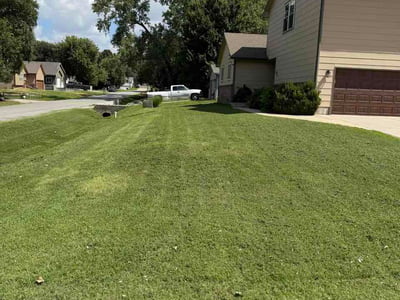 Lawn Care service in Derby, 06418