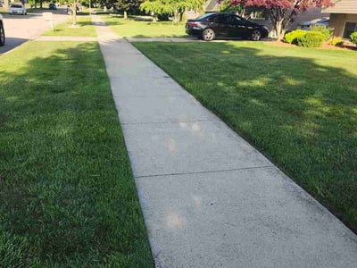 Lawn Care service in Sterling Heights, 48312