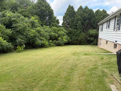 Lawn Care service in Deep River, 06417